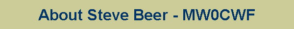About Steve Beer